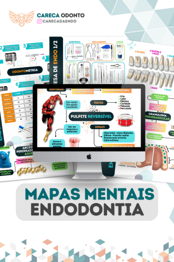 Capa 1