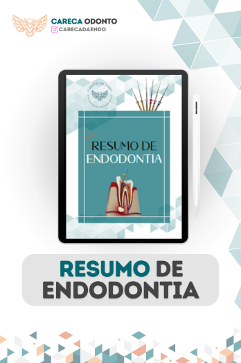 Capa 2